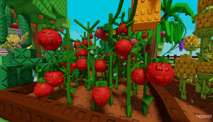 Roblox Grow a Garden scene featuring vibrant red tomato plants, showcasing one of the popular Money-Making Crops in the game.