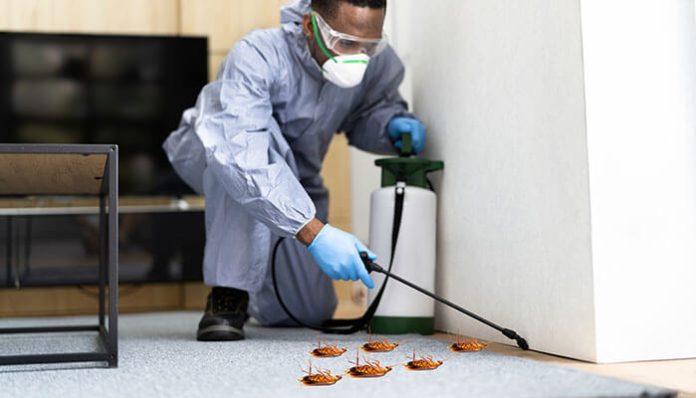 Professional pest control service expert in protective gear spraying chemical treatment indoors to eliminate cockroaches and ensure a pest-free home.