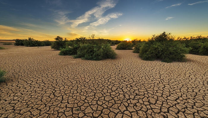 Dry, cracked soil landscape at sunset, showing the impact of soil test mistakes and the importance of accurate soil analysis for construction and agriculture.