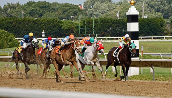 Horse racing action on the track with jockeys and thoroughbreds, symbolizing startup lessons from horse racing about risk, timing, and strategy.