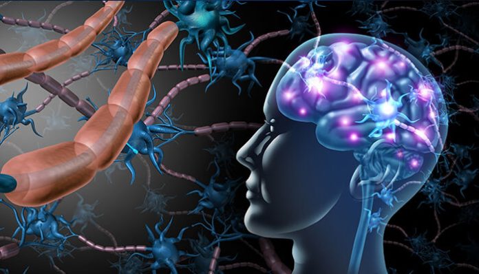 Illustration of neurons and human brain activity, highlighting the role of neuroscience in digital learning to improve focus, memory, and engagement.