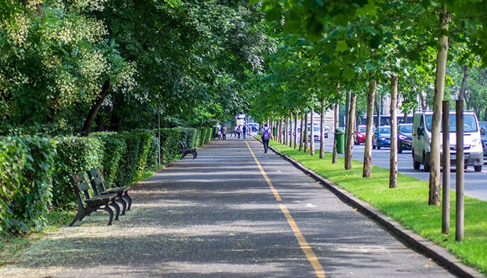 Green walking and biking path lined with trees and benches in one of Montana’s cities, promoting sustainable living and eco-friendly urban design