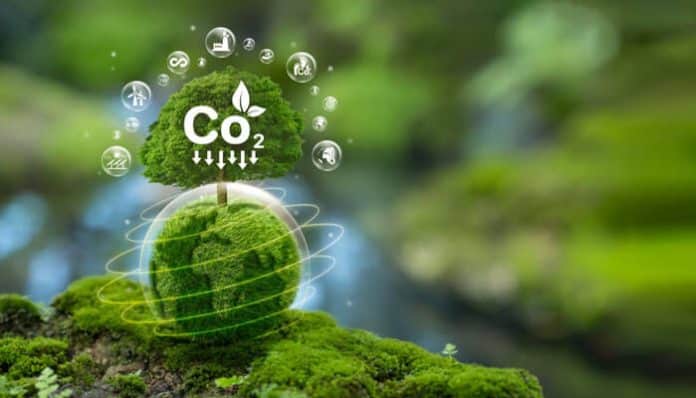 A green eco-friendly concept showing a moss-covered globe and a tree symbolizing sustainability, representing efforts to reduce the digital carbon footprint.