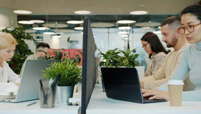 Employees working on laptops in a modern office environment demonstrating how LXP vs LMS approaches can enhance workplace learning and employee engagement.