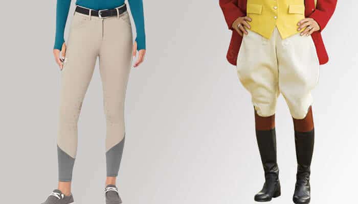 Equestrian pants for women, showcasing riding breeches and traditional jodhpurs for various equestrian disciplines