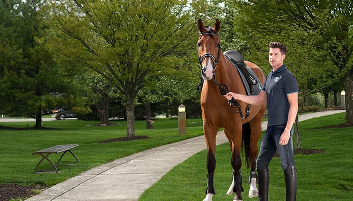 Male rider wearing equestrian pants and boots, standing with his horse in a scenic outdoor setting