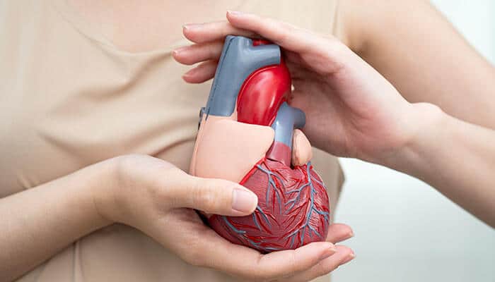 Daily yoga practice supporting heart health and overall mind-body wellbeing