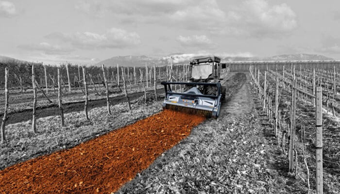 The Versatility Of Modern Mulchers For Tractors - Startupeditor | Startup Editor Tractor equipped with a modern mulcher working in a vineyard, illustrating the precision and versatility of modern mulchers for tractors in vineyard maintenance
