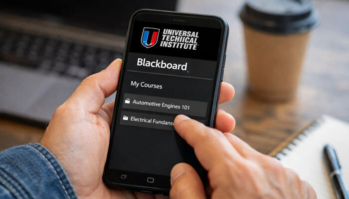 Can You Use UTI Blackboard on Mobile - Startupeditor | Startup Editor UTI Blackboard Login on mobile phone showing course dashboard and student interface