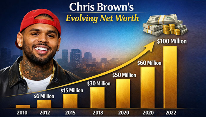 Chris Browns Evolving Net Worth - Startupeditor | Startup Editor Chris Brown net worth, charting his financial journey from million in 2010 to 0 million in 2022, reflecting his success in music, business, and investments.