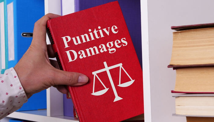 Punitive Damages - Startupeditor | Startup Editor