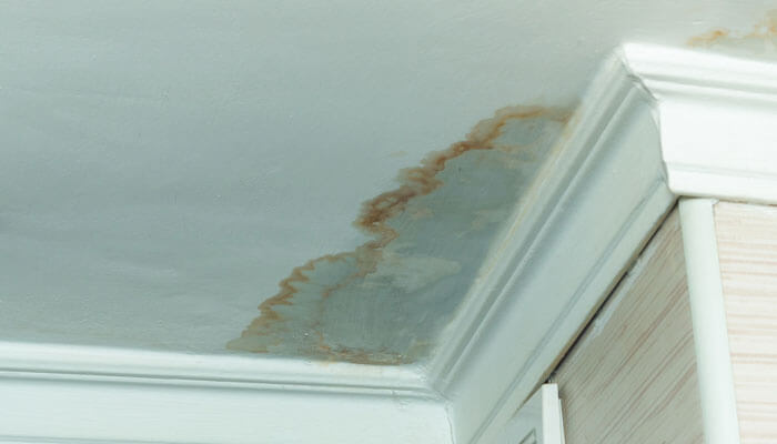 Water Stains and Damage - Startupeditor | Startup Editor