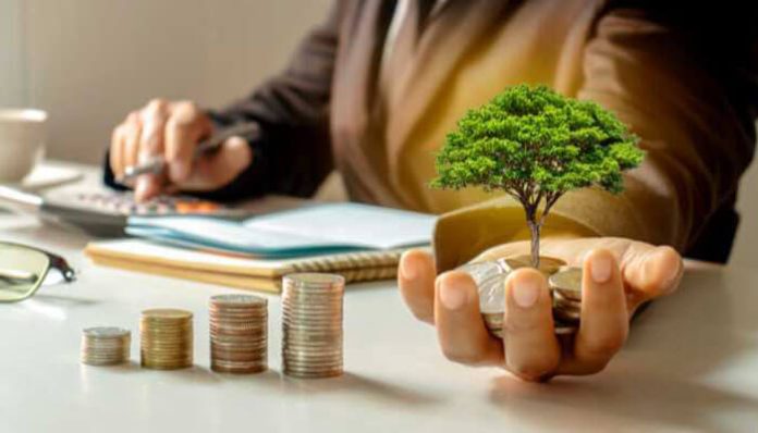 Hand holding a small tree growing from coins on a desk, symbolizing sustainable financial growth.
