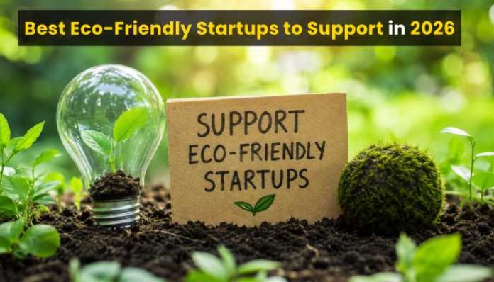 Best eco-friendly startups to support in 2026 with green plants, soil, and a sustainability startup concept.