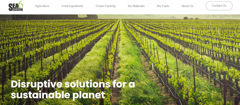 Sea6 Energy - Startupeditor | Startup Editor Sea6 Energy seaweed farming company listed among the best eco-friendly startups to support for sustainable materials.