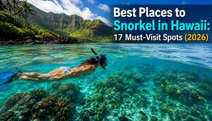 Snorkeler swimming over a vibrant Hawaii reef with the title: Best Places to Snorkel in Hawaii: 17 Must-Visit Spots (2026).