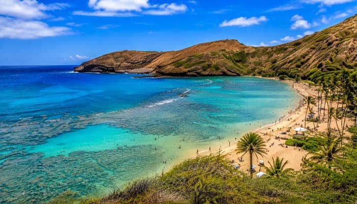 Hanauma Bay Nature Preserve - Startupeditor | Startup Editor Clear turquoise bay with white-sand beach, palm trees, and rocky hillside in the background.