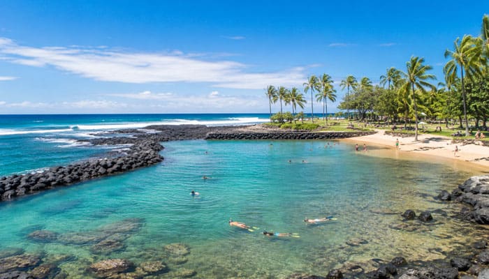 Lydgate Beach Park - Startupeditor | Startup Editor Crystal-clear turquoise lagoon with a rocky breakwater, sandy beach, and a line of palm trees under a bright blue sky; people swim and float in the calm water.