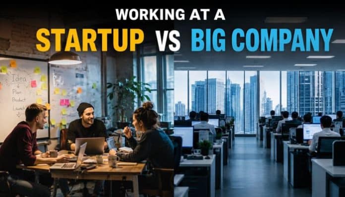 Working at a startup vs big company comparison featuring collaborative startup employees and a structured corporate office.
