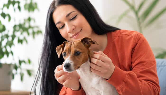 The “Charm” of the Human Domestication Guide - Startup Editor | Startup Editor Human Domestication Guide Explained concept featuring a woman caring for a dog, symbolizing domestication, caregiving, trust, and human-animal relationships.