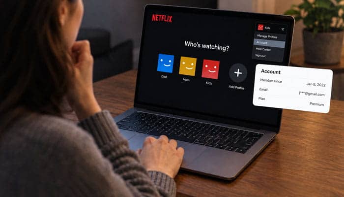 How to Check Who Owns Netflix Yourself - Startupeditor | Startup Editor How to check who owns Netflix using company and shareholder information online