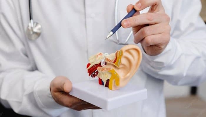 What Can Cause Eustachian Tube Dysfunction? - Startup Editor | Startup Editor How I Cured My Eustachian Tube Dysfunction showing medical ear model examination with doctor explaining middle ear pressure, blocked ears, and ETD treatment options