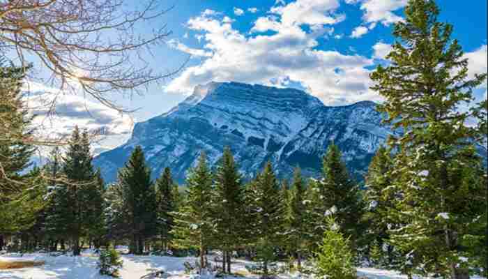 Green Mountain National Forest in Winter - Startup Editor | Startup Editor Snow-covered mountains and evergreen forest scenery in Green Mountain National Forest showing Vermont winter wilderness and outdoor recreation