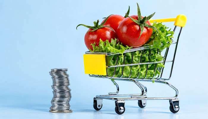 Kroger Stock Forecast for 2026 - Startup Editor | Startup Editor Kroger Stock investment concept showing a miniature grocery cart filled with fresh vegetables beside stacked coins representing retail value.